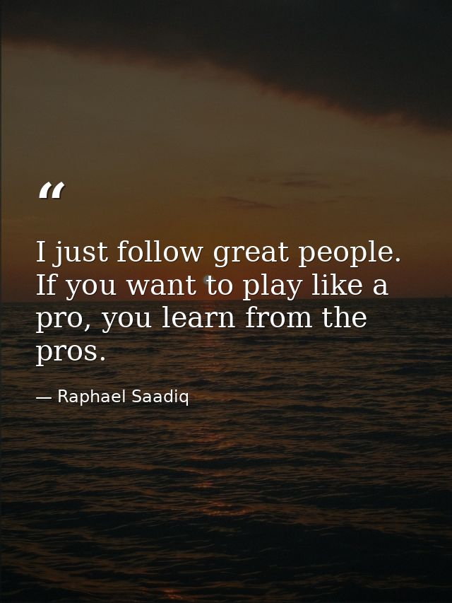 I just follow great people. If you want to play like a pro, you learn from the pros. — Raphael Saadiq
