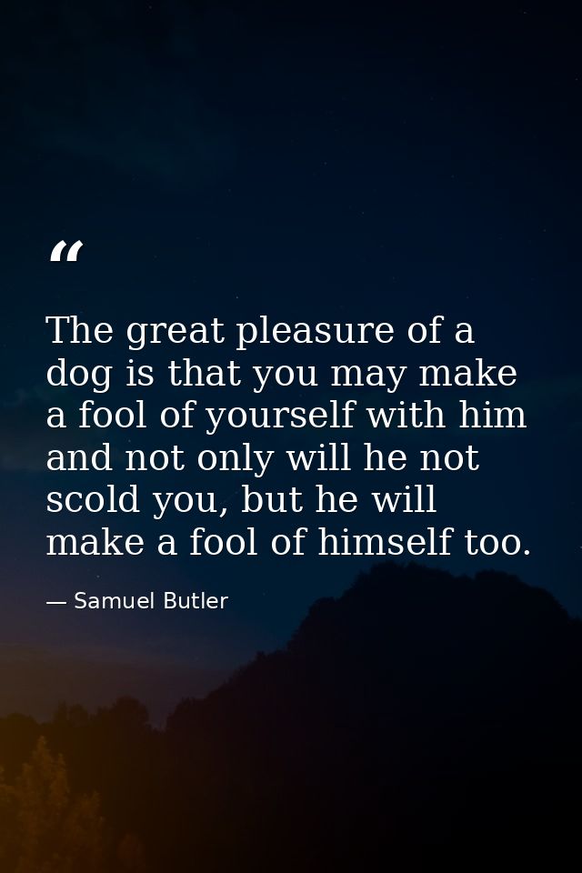 The great pleasure of a dog is that you may make a fool of yourself with him and not only will he not scold you, but he  — Samuel Butler