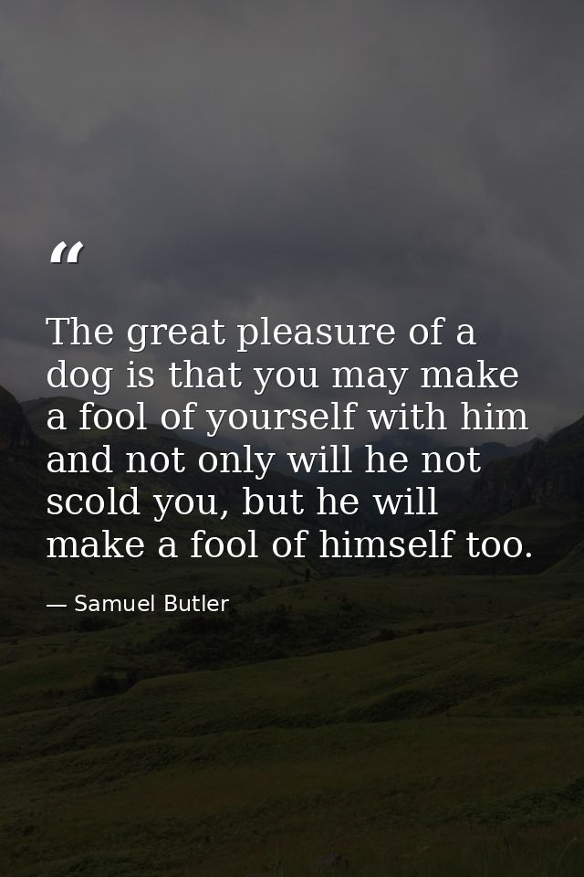 The great pleasure of a dog is that you may make a fool of yourself with him and not only will he not scold you, but he  — Samuel Butler
