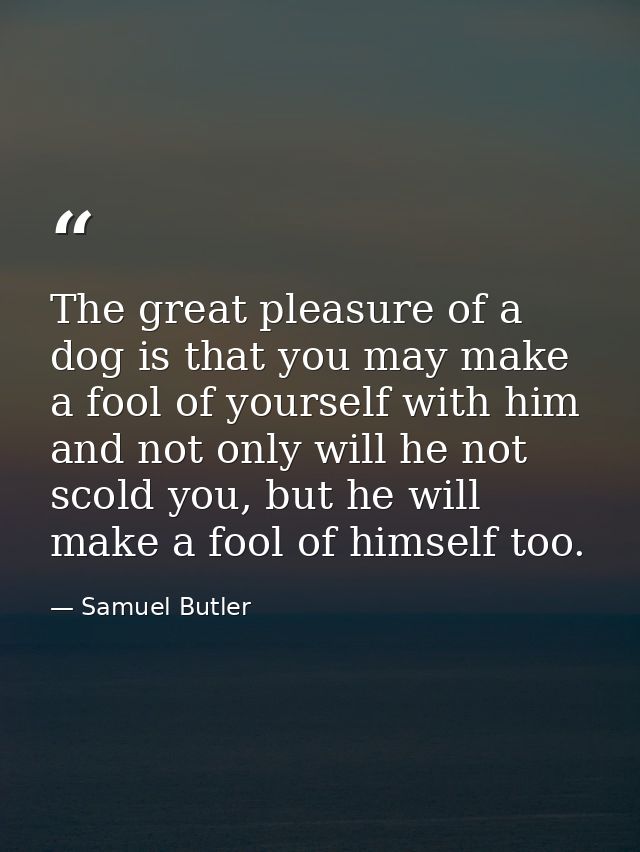 The great pleasure of a dog is that you may make a fool of yourself with him and not only will he not scold you, but he  — Samuel Butler