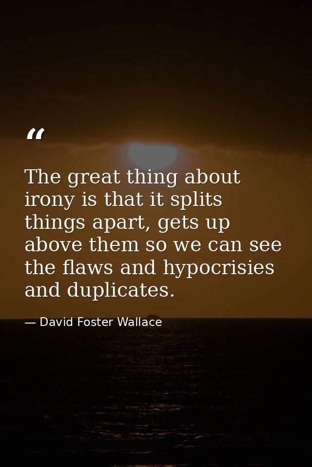 The great thing about irony is that it splits things apart, gets up above them so we can see the flaws and hypocrisies a — David Foster Wallace