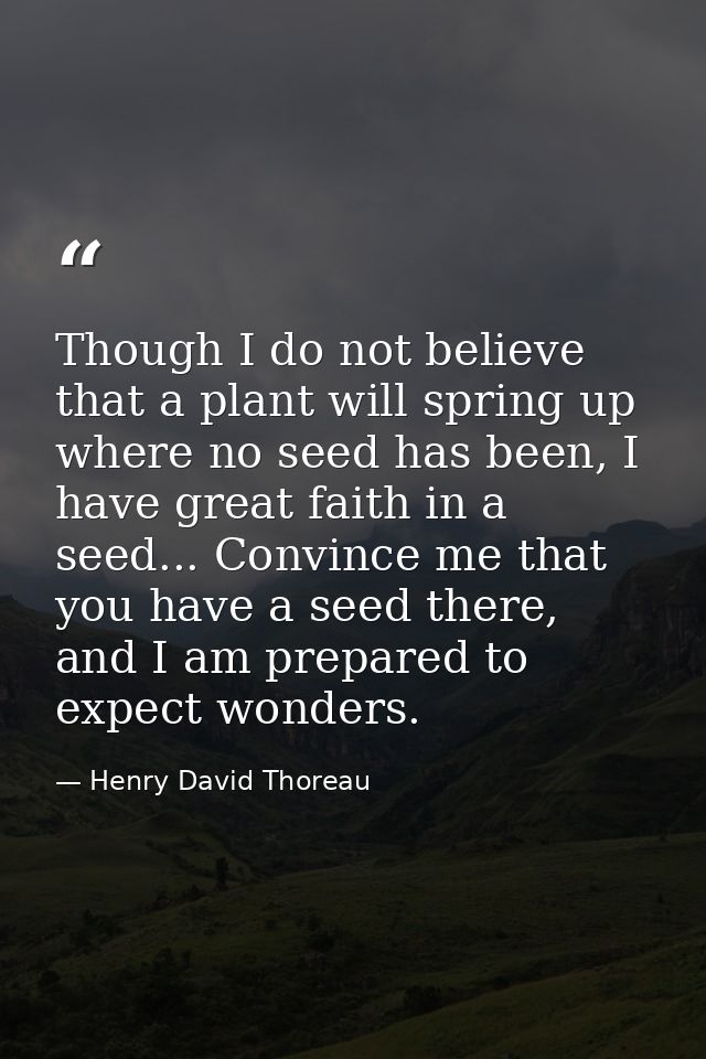Though I do not believe that a plant will spring up where no seed has been, I have great faith in a seed... Convince me  — Henry David Thoreau