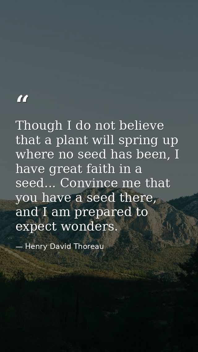 Though I do not believe that a plant will spring up where no seed has been, I have great faith in a seed... Convince me  — Henry David Thoreau
