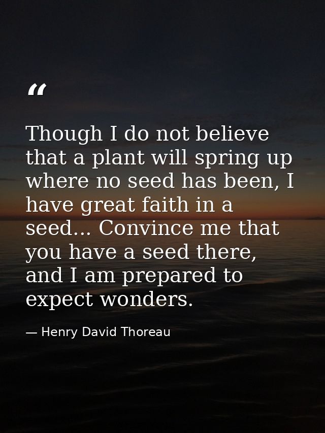 Though I do not believe that a plant will spring up where no seed has been, I have great faith in a seed... Convince me  — Henry David Thoreau
