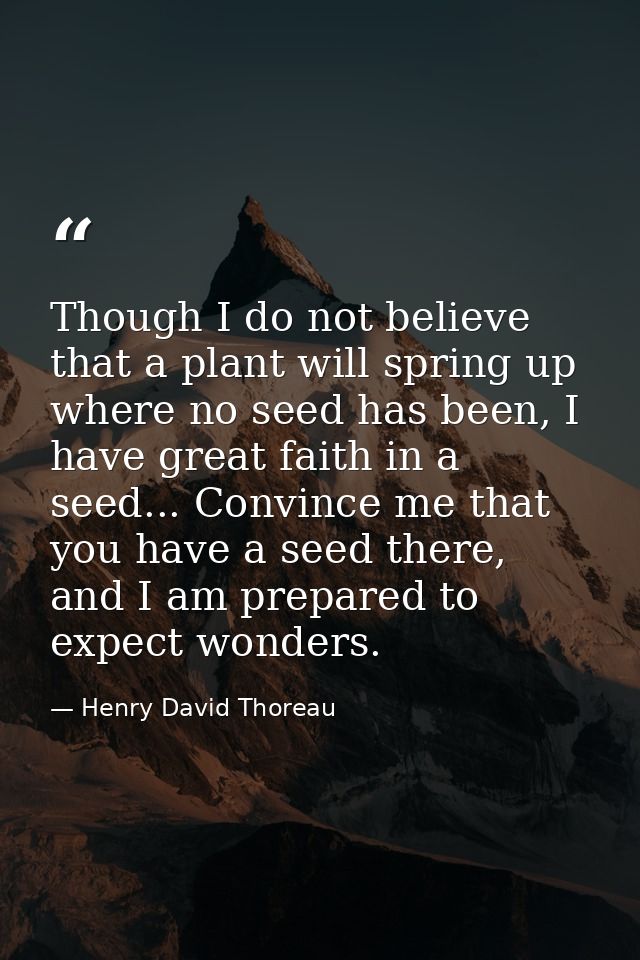 Though I do not believe that a plant will spring up where no seed has been, I have great faith in a seed... Convince me  — Henry David Thoreau