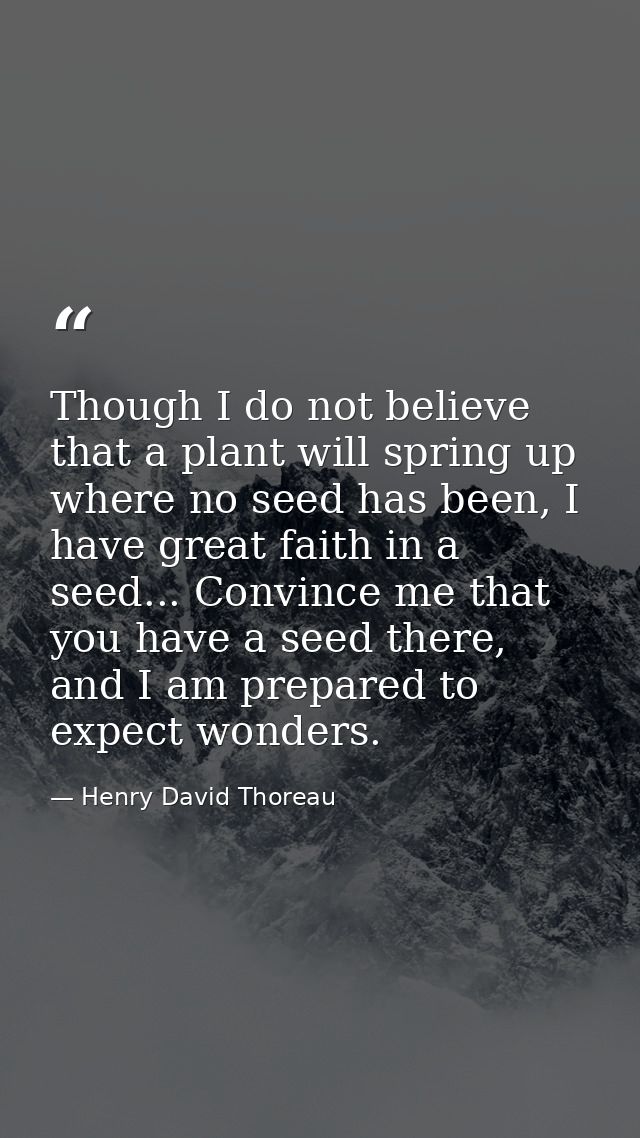 Though I do not believe that a plant will spring up where no seed has been, I have great faith in a seed... Convince me  — Henry David Thoreau