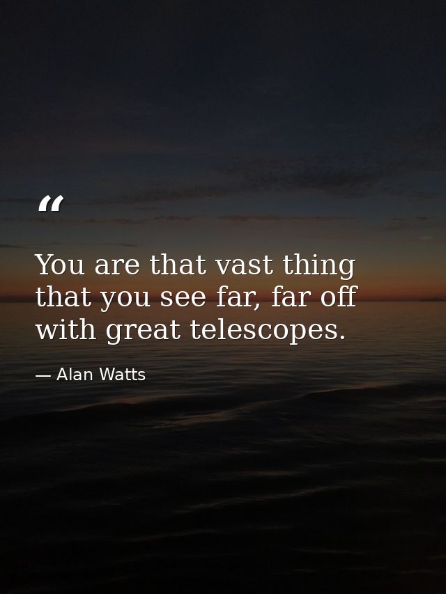 You are that vast thing that you see far, far off with great telescopes. — Alan Watts