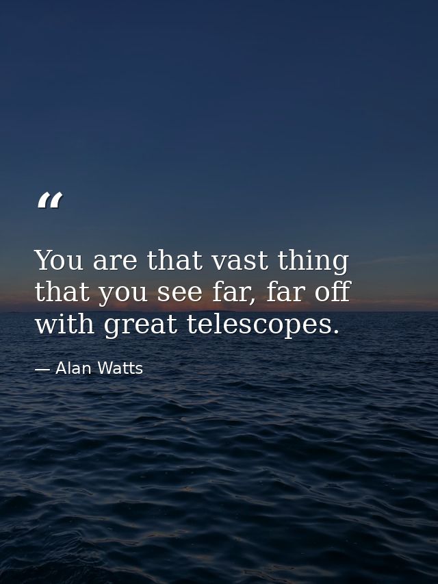 You are that vast thing that you see far, far off with great telescopes. — Alan Watts