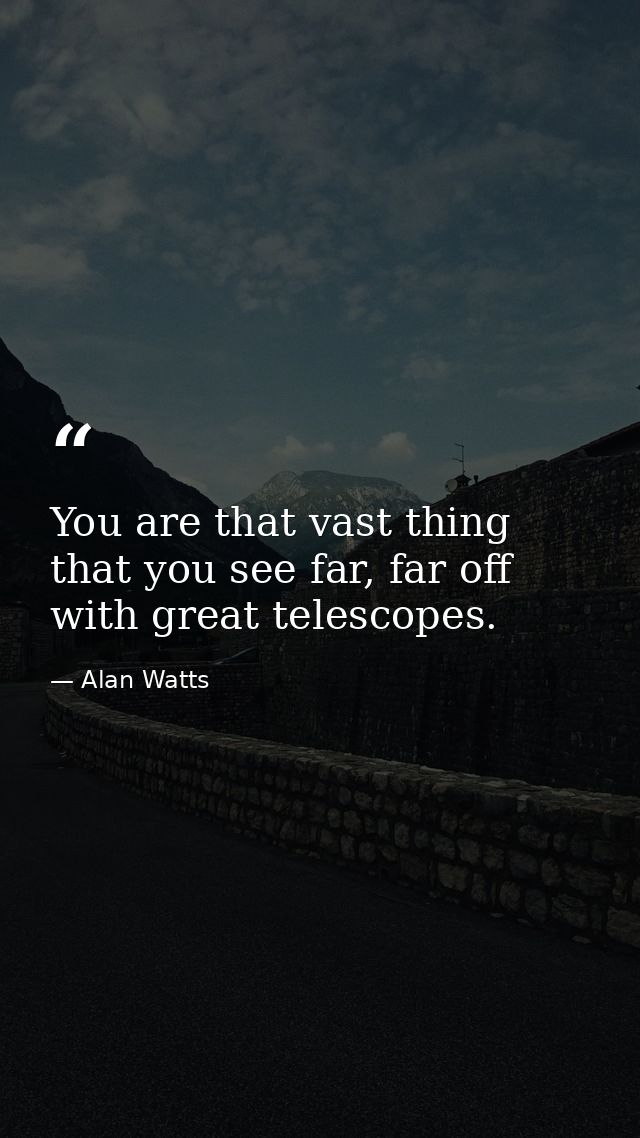 You are that vast thing that you see far, far off with great telescopes. — Alan Watts