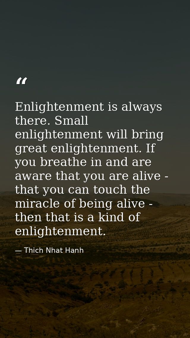 Enlightenment is always there. Small enlightenment will bring great enlightenment. If you breathe in and are aware that  — Thich Nhat Hanh