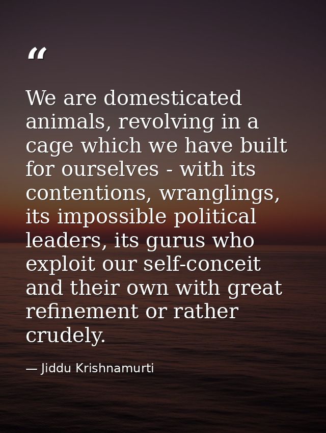 We are domesticated animals, revolving in a cage which we have built for ourselves - with its contentions, wranglings, i — Jiddu Krishnamurti