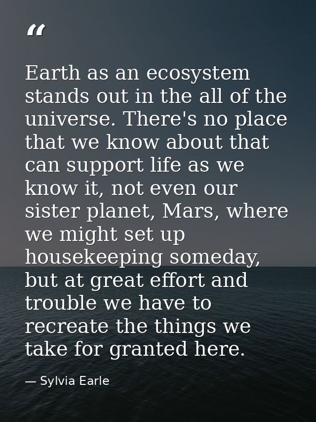 Earth as an ecosystem stands out in the all of the universe. There's no place that we know about that can support life a — Sylvia Earle