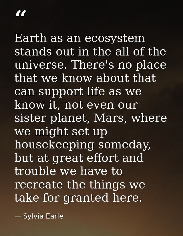 Earth as an ecosystem stands out in the all of the universe. There's no place that we know about that can support life a — Sylvia Earle