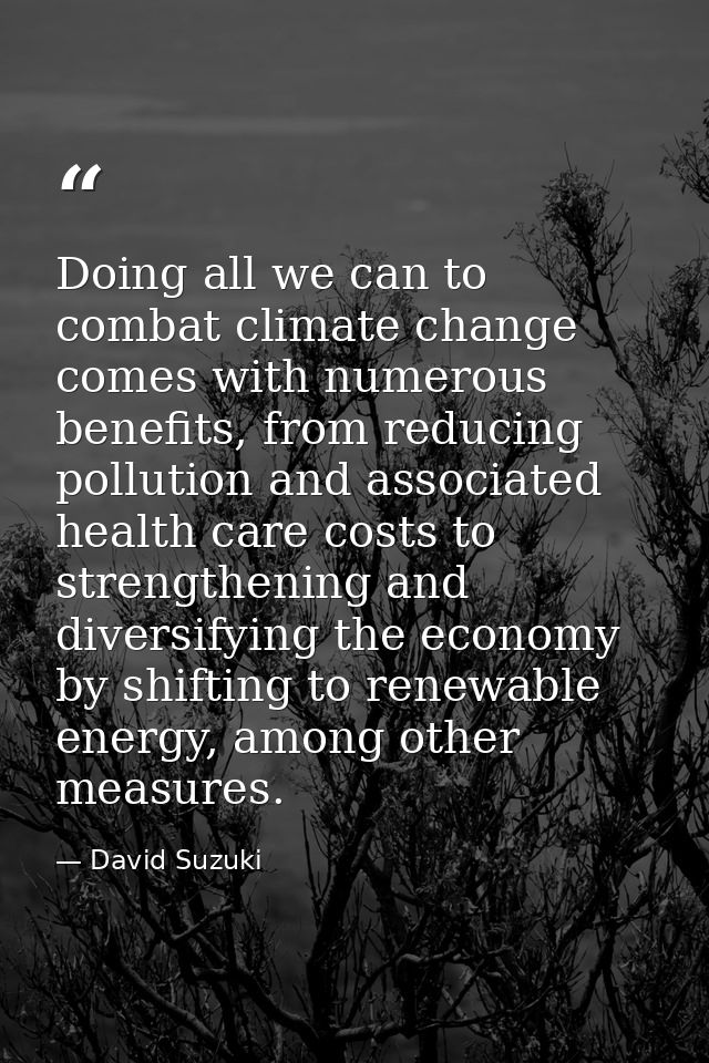 Doing all we can to combat climate change comes with numerous benefits, from reducing pollution and associated health ca — David Suzuki