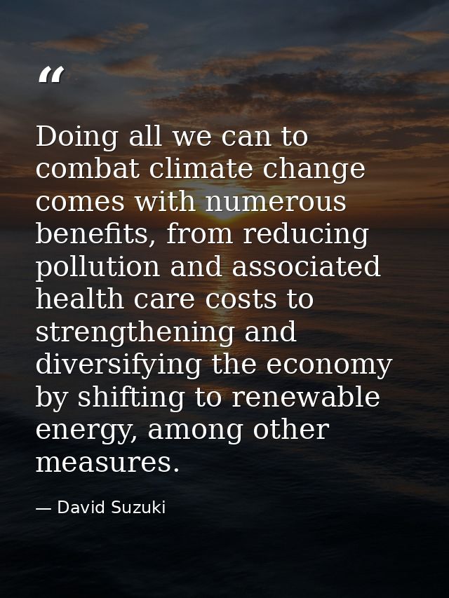 Doing all we can to combat climate change comes with numerous benefits, from reducing pollution and associated health ca — David Suzuki
