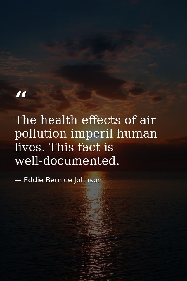 The health effects of air pollution imperil human lives. This fact is well-documented. — Eddie Bernice Johnson