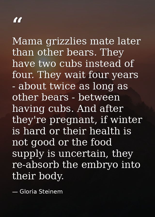 Mama grizzlies mate later than other bears. They have two cubs instead of four. They wait four years - about twice as lo — Gloria Steinem