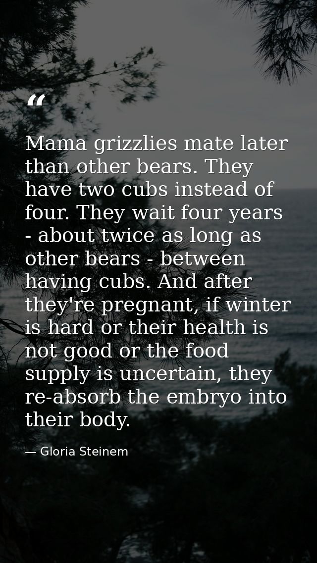 Mama grizzlies mate later than other bears. They have two cubs instead of four. They wait four years - about twice as lo — Gloria Steinem