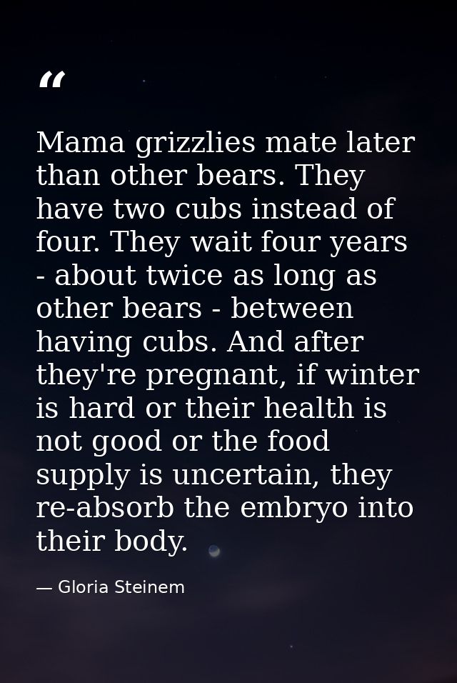Mama grizzlies mate later than other bears. They have two cubs instead of four. They wait four years - about twice as lo — Gloria Steinem