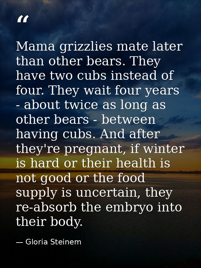 Mama grizzlies mate later than other bears. They have two cubs instead of four. They wait four years - about twice as lo — Gloria Steinem
