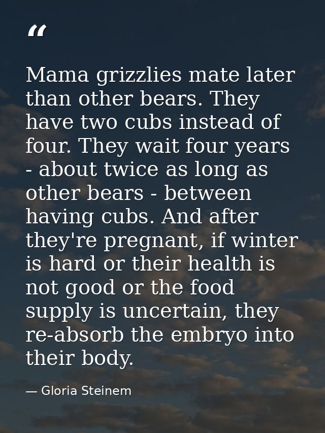Mama grizzlies mate later than other bears. They have two cubs instead of four. They wait four years - about twice as lo — Gloria Steinem
