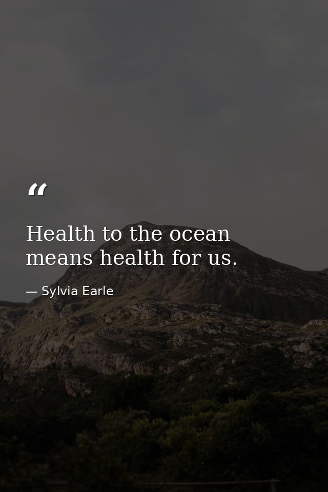Health to the ocean means health for us. — Sylvia Earle
