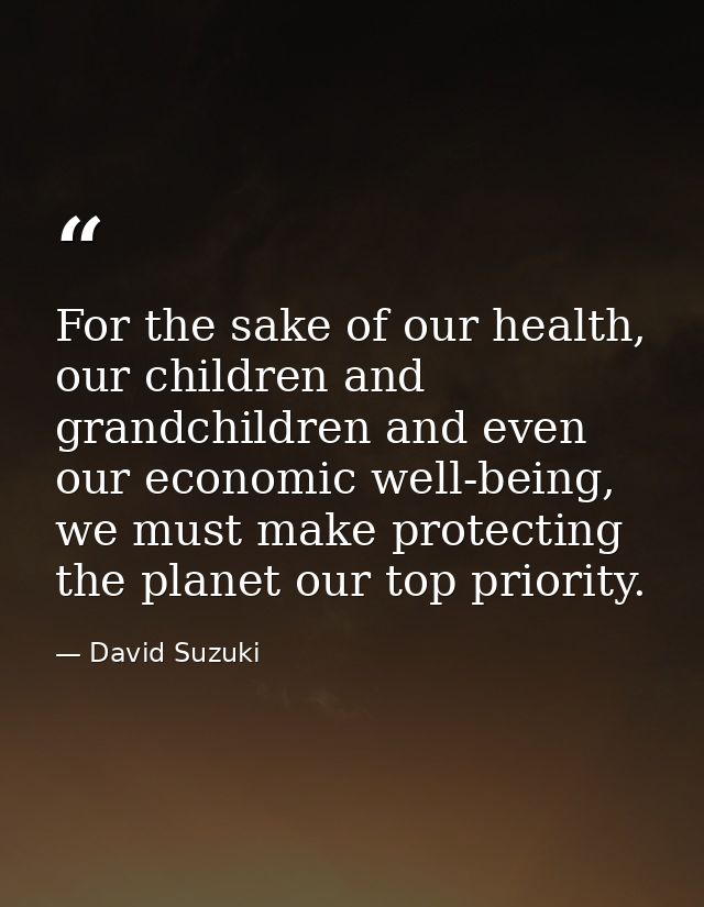 For the sake of our health, our children and grandchildren and even our economic well-being, we must make protecting the — David Suzuki