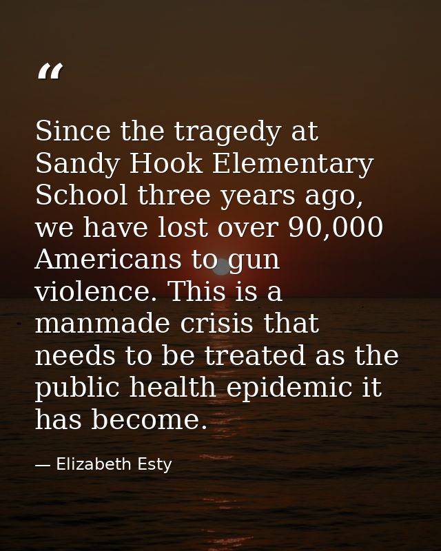 Since the tragedy at Sandy Hook Elementary School three years ago, we have lost over 90,000 Americans to gun violence. T — Elizabeth Esty