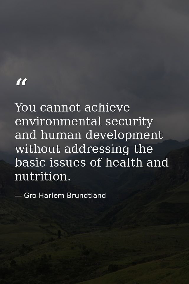 You cannot achieve environmental security and human development without addressing the basic issues of health and nutrit — Gro Harlem Brundtland