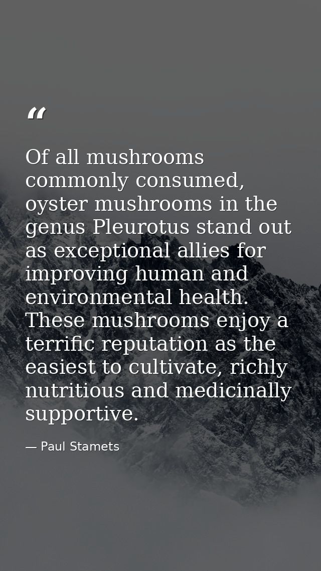 Of all mushrooms commonly consumed, oyster mushrooms in the genus Pleurotus stand out as exceptional allies for improvin — Paul Stamets