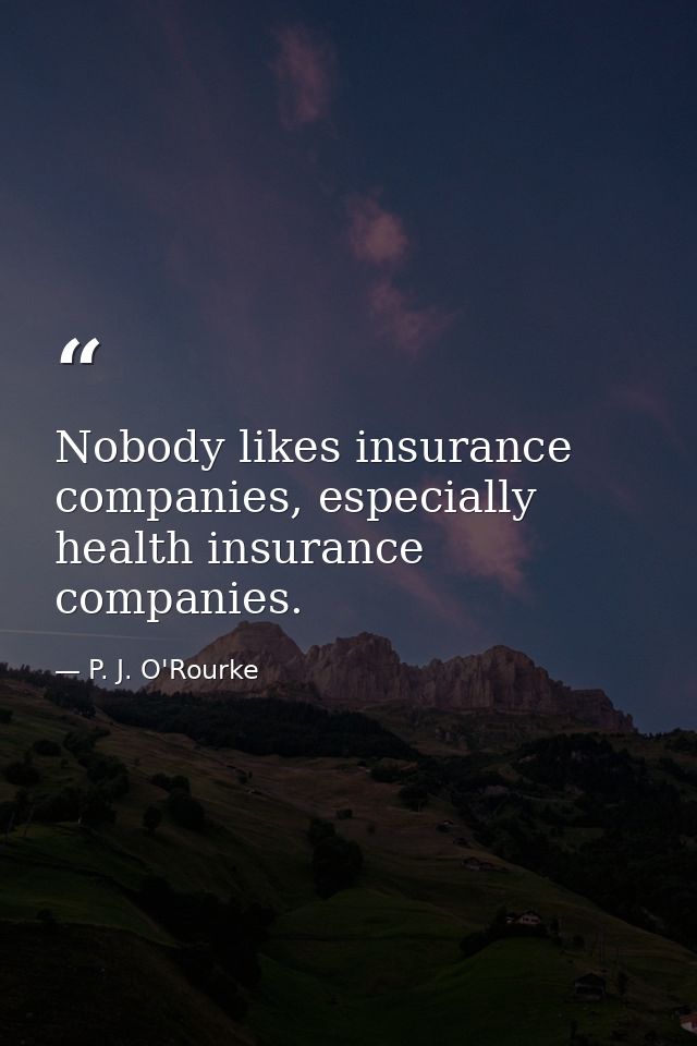 Nobody likes insurance companies, especially health insurance companies. — P. J. O'Rourke