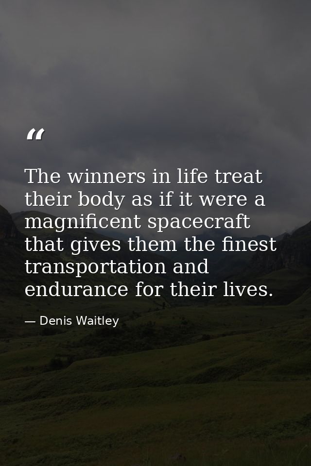 The winners in life treat their body as if it were a magnificent spacecraft that gives them the finest transportation an — Denis Waitley