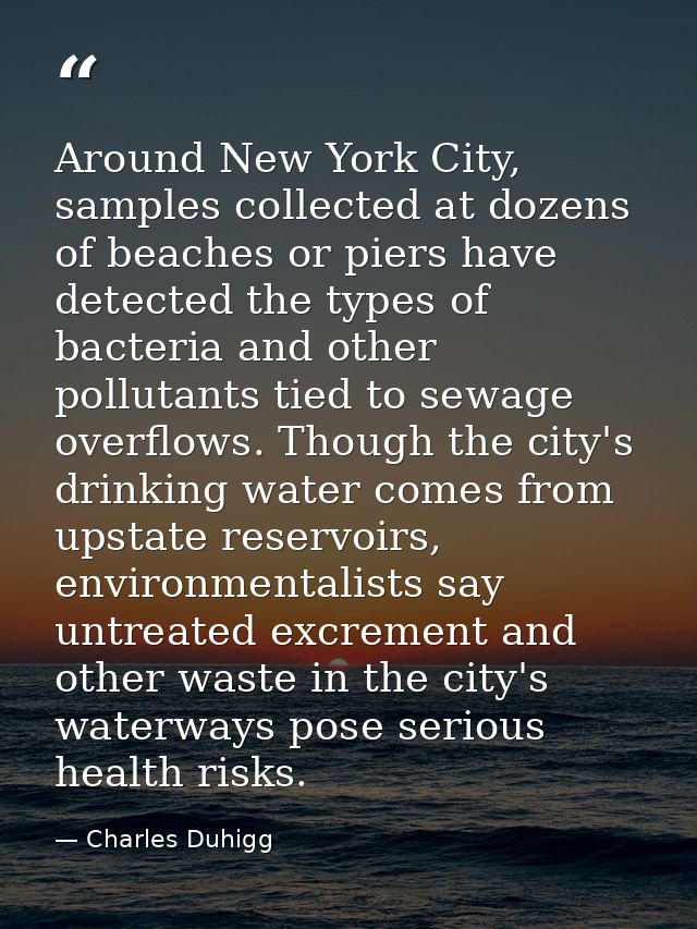 Around New York City, samples collected at dozens of beaches or piers have detected the types of bacteria and other poll — Charles Duhigg