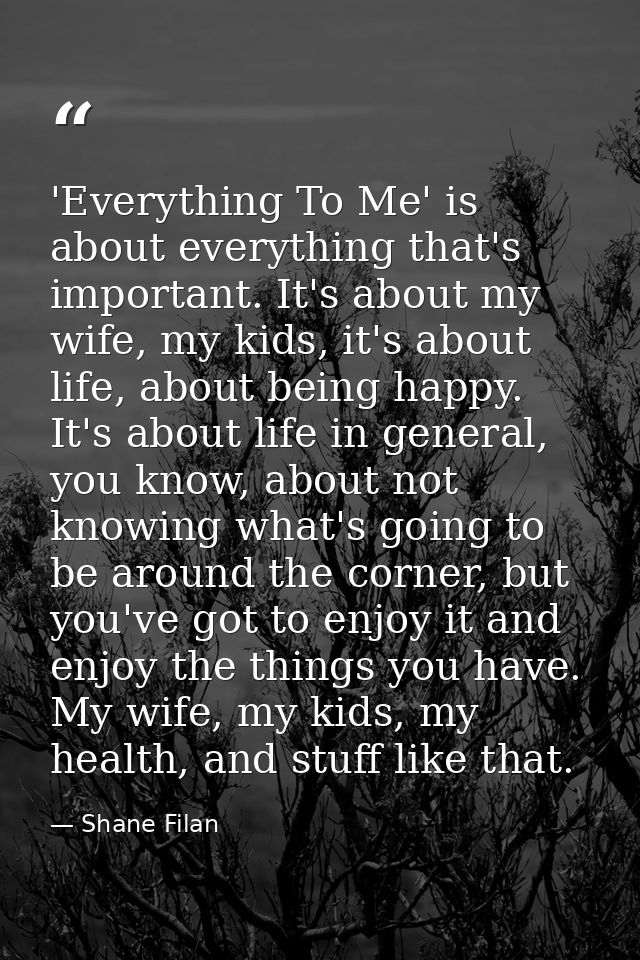 'Everything To Me' is about everything that's important. It's about my wife, my kids, it's about life, about being happy — Shane Filan