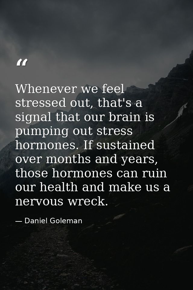 Whenever we feel stressed out, that's a signal that our brain is pumping out stress hormones. If sustained over months a — Daniel Goleman