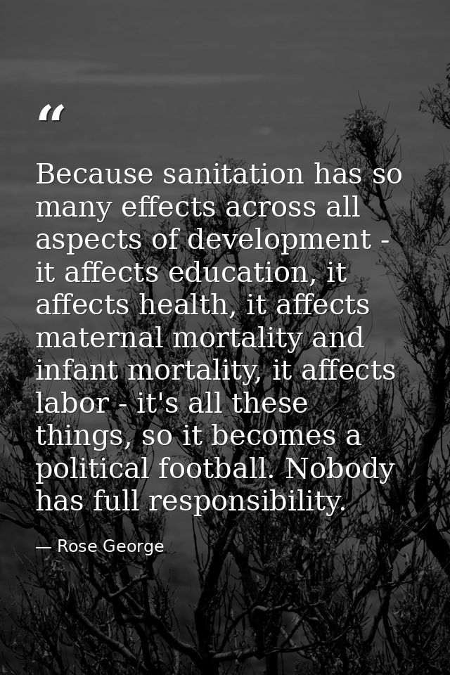 Because sanitation has so many effects across all aspects of development - it affects education, it affects health, it a — Rose George