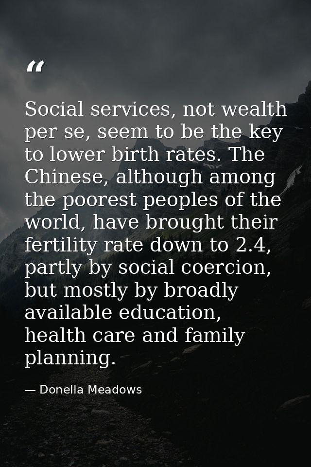 Social services, not wealth per se, seem to be the key to lower birth rates. The Chinese, although among the poorest peo — Donella Meadows