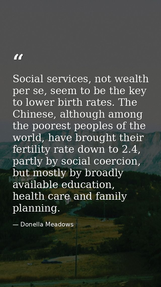 Social services, not wealth per se, seem to be the key to lower birth rates. The Chinese, although among the poorest peo — Donella Meadows