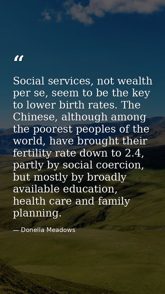 Social services, not wealth per se, seem to be the key to lower birth rates. The Chinese, although among the poorest peo — Donella Meadows