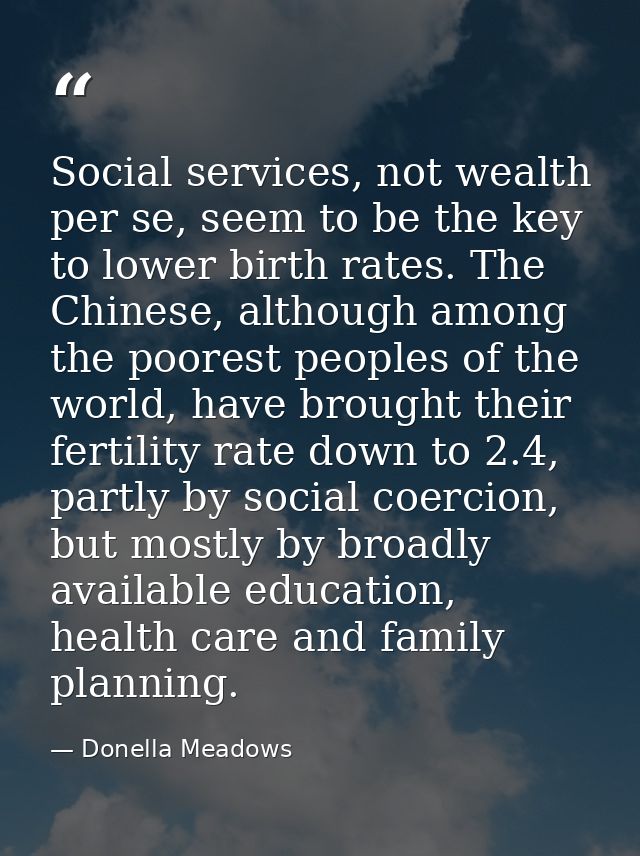 Social services, not wealth per se, seem to be the key to lower birth rates. The Chinese, although among the poorest peo — Donella Meadows