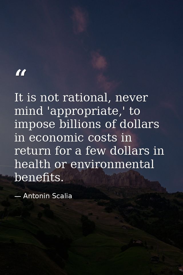 It is not rational, never mind 'appropriate,' to impose billions of dollars in economic costs in return for a few dollar — Antonin Scalia