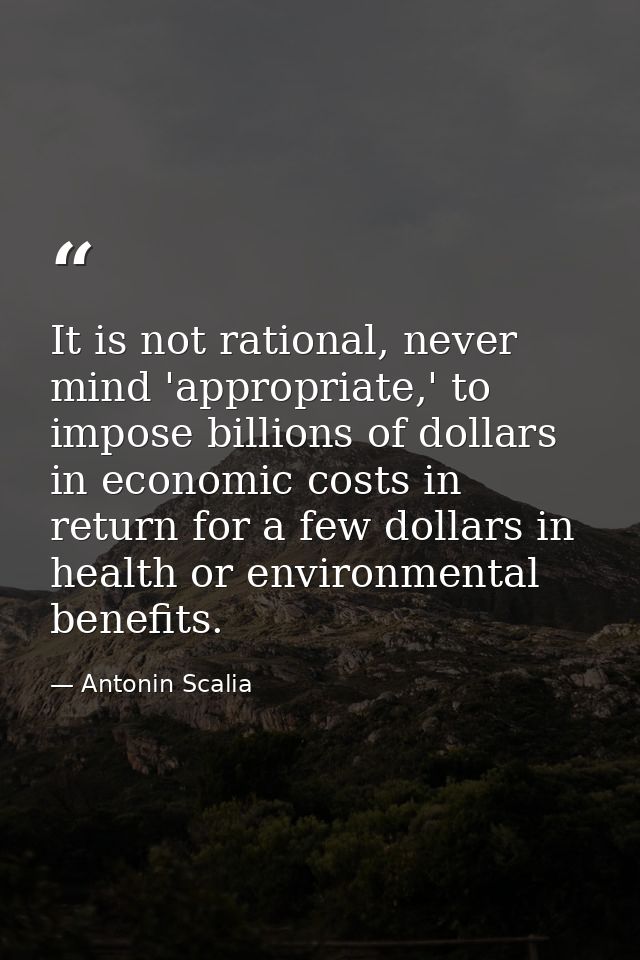 It is not rational, never mind 'appropriate,' to impose billions of dollars in economic costs in return for a few dollar — Antonin Scalia