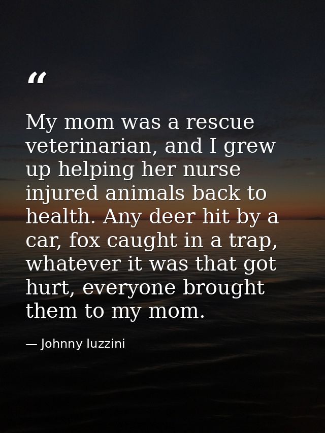My mom was a rescue veterinarian, and I grew up helping her nurse injured animals back to health. Any deer hit by a car, — Johnny Iuzzini