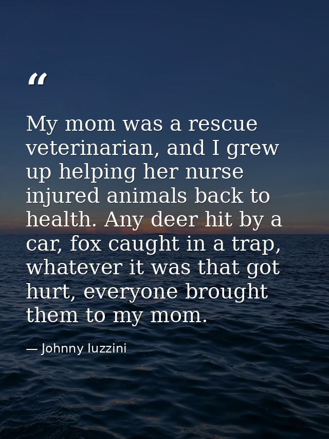 My mom was a rescue veterinarian, and I grew up helping her nurse injured animals back to health. Any deer hit by a car, — Johnny Iuzzini