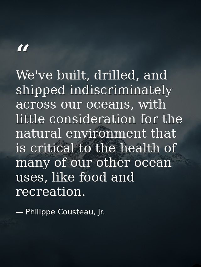 We've built, drilled, and shipped indiscriminately across our oceans, with little consideration for the natural environm — Philippe Cousteau, Jr.