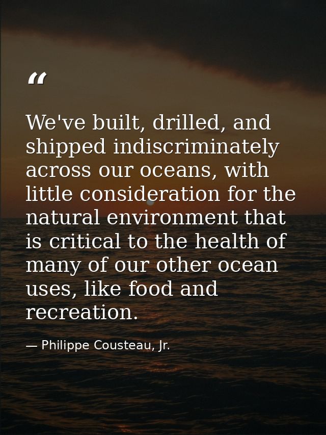 We've built, drilled, and shipped indiscriminately across our oceans, with little consideration for the natural environm — Philippe Cousteau, Jr.