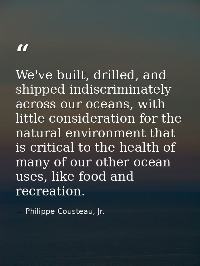 We've built, drilled, and shipped indiscriminately across our oceans, with little consideration for the natural environm — Philippe Cousteau, Jr.