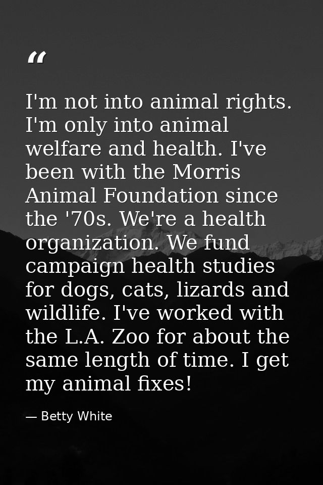 I'm not into animal rights. I'm only into animal welfare and health. I've been with the Morris Animal Foundation since t — Betty White