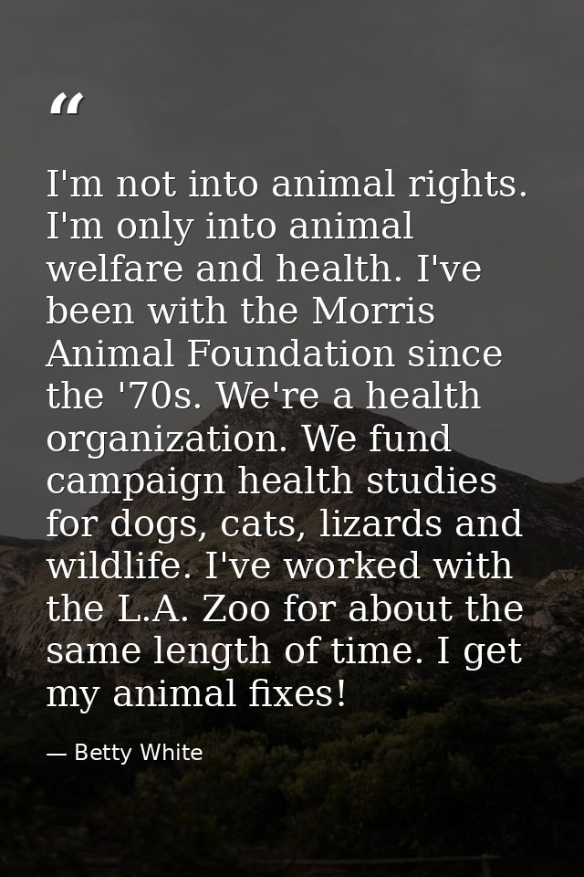 I'm not into animal rights. I'm only into animal welfare and health. I've been with the Morris Animal Foundation since t — Betty White