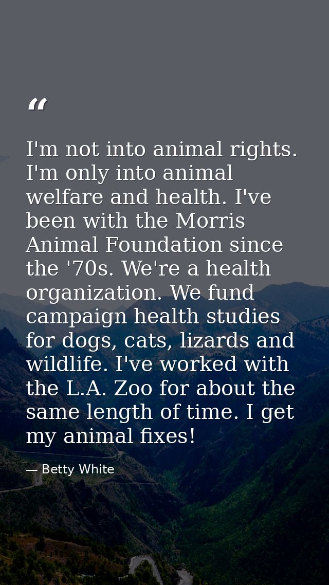 I'm not into animal rights. I'm only into animal welfare and health. I've been with the Morris Animal Foundation since t — Betty White